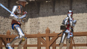 Half Sword, Steam Gift