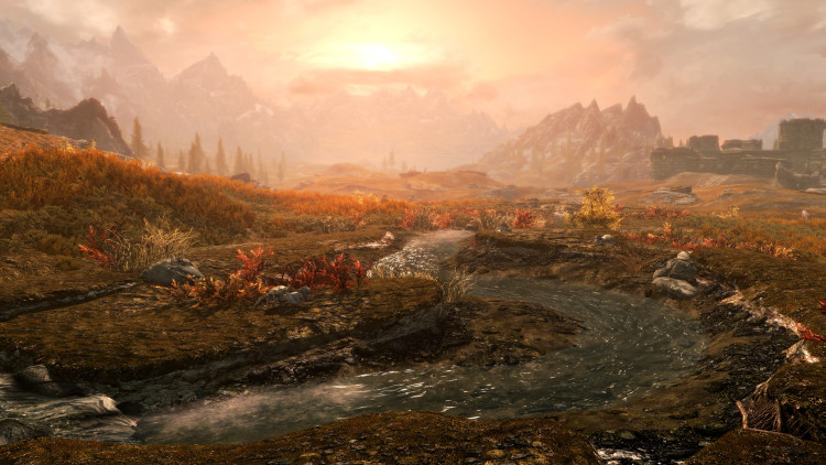 The Elder Scrolls V: Skyrim Special Edition, Steam Gift