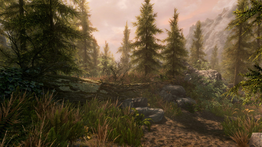 The Elder Scrolls V: Skyrim Special Edition, Steam Gift
