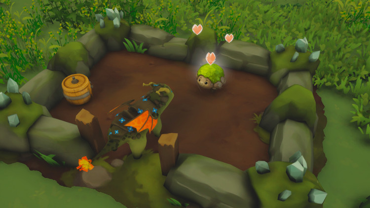 Dragon Shelter, Steam Gift