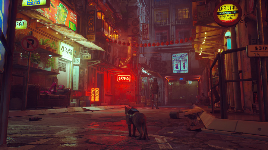 Stray, Steam Gift