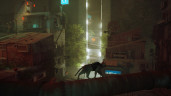 Stray, Steam Gift