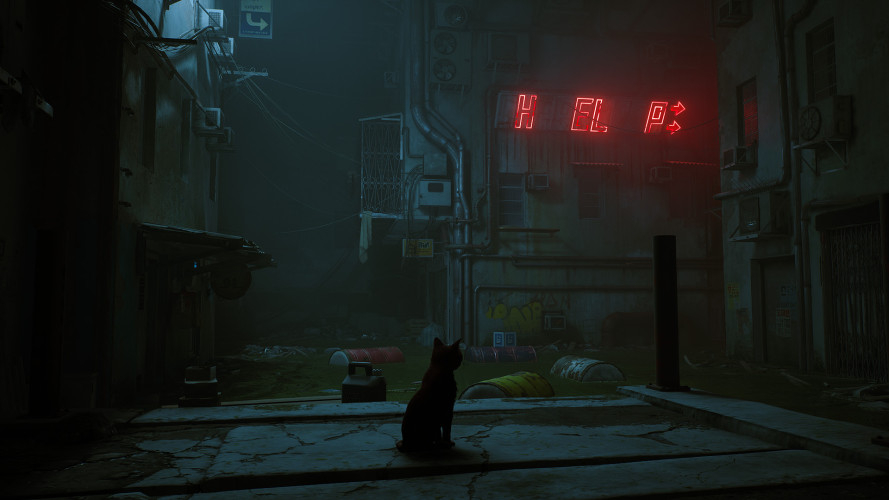 Stray, Steam Gift