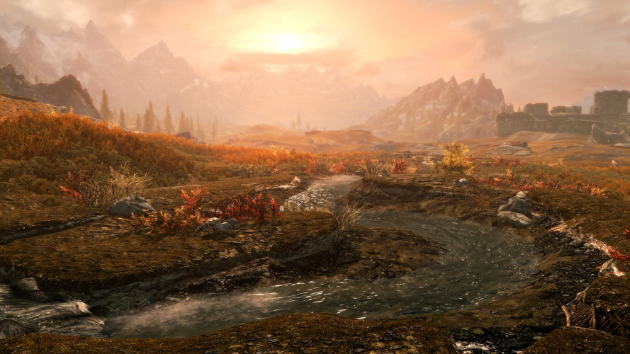 The Elder Scrolls V: Skyrim Anniversary Edition, Steam Gift