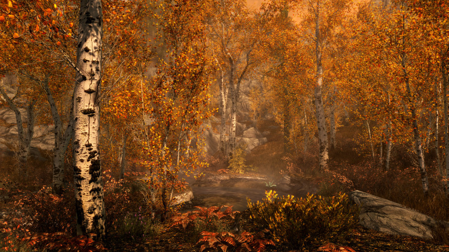 The Elder Scrolls V: Skyrim Anniversary Edition, Steam Gift