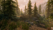 The Elder Scrolls V: Skyrim Anniversary Edition, Steam Gift