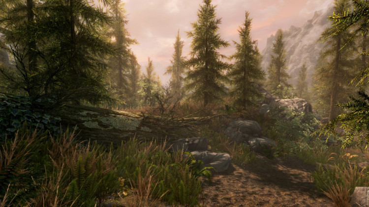 The Elder Scrolls V: Skyrim Anniversary Edition, Steam Gift