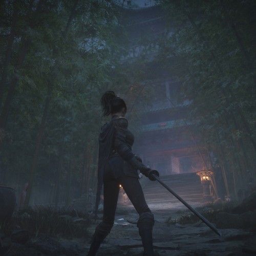 Игра WUCHANG: Fallen Feathers Deluxe Edition для PC / ПК, активация в стим Steam для региона РФ / Россия цифровой ключ