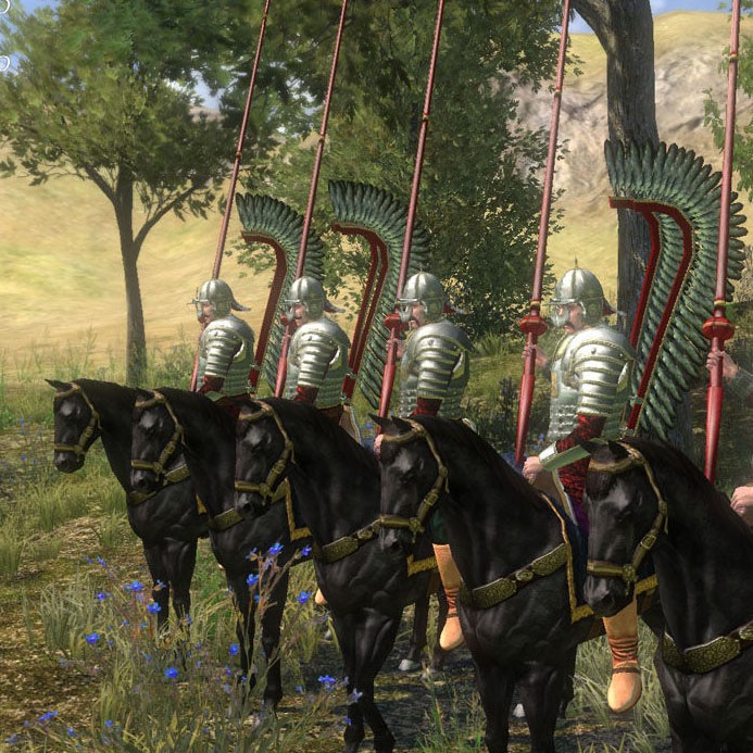 Игра Mount & Blade: With Fire & Sword для PC / ПК, активация в стим Steam для региона РФ / Россия цифровой ключ
