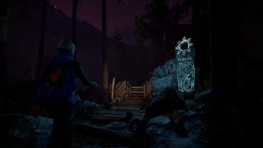 Through the Woods, Steam Gift