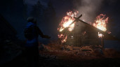 Through the Woods, Steam Gift