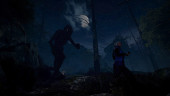 Through the Woods, Steam Gift