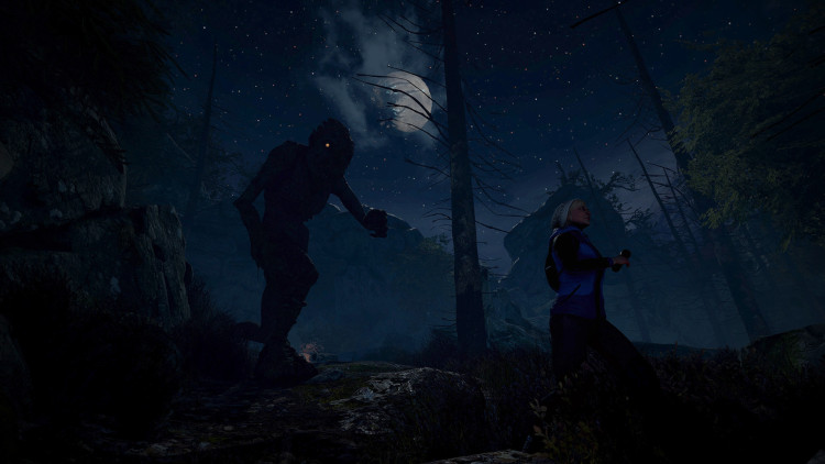 Through the Woods, Steam Gift