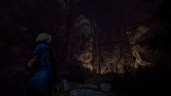 Through the Woods, Steam Gift