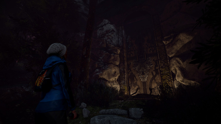 Through the Woods, Steam Gift