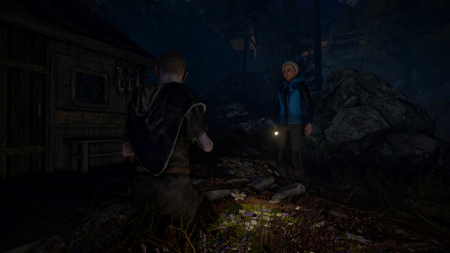 Through the Woods, Steam Gift