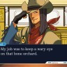 Игра Ace Attorney Anthology PC / ПК, активация в стим Steam для региона РФ / Россия цифровой ключ