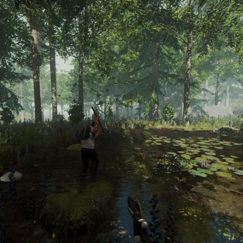 Игра The Forest PlayStation 4 и PlayStation 5