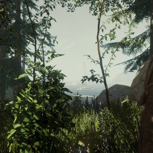 Игра The Forest PlayStation 4 и PlayStation 5