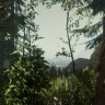 Игра The Forest PlayStation 4 и PlayStation 5