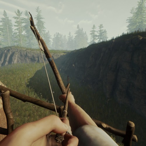 Игра The Forest PlayStation 4 и PlayStation 5