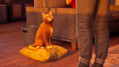 Life is Strange: Double Exposure, Steam Gift