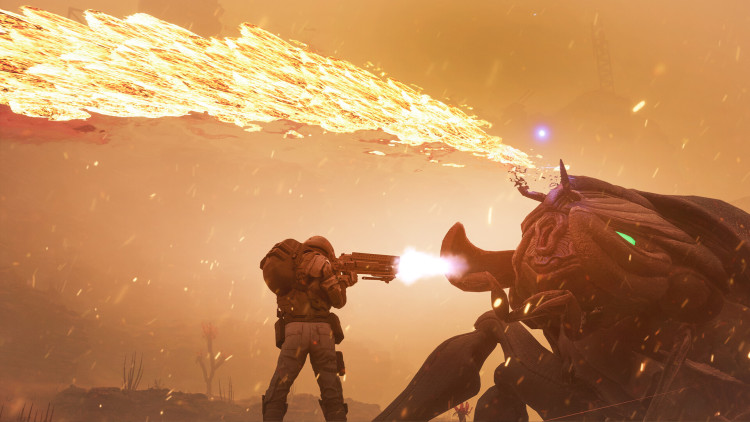 Starship Troopers: Extermination, Steam Gift