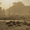 Игра Monster Hunter Wilds для PC / ПК, активация в стим Steam для региона РФ / Россия цифровой ключ