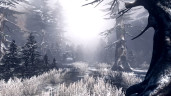 The Incredible Adventures of Van Helsing II - The Incredible Adventures of Van Helsing, Steam Gift