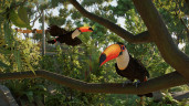 Planet Zoo 2, Steam Gift