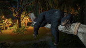 Planet Zoo 2, Steam Gift