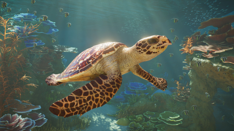 Planet Zoo 2 - Deluxe Edition, Steam Gift
