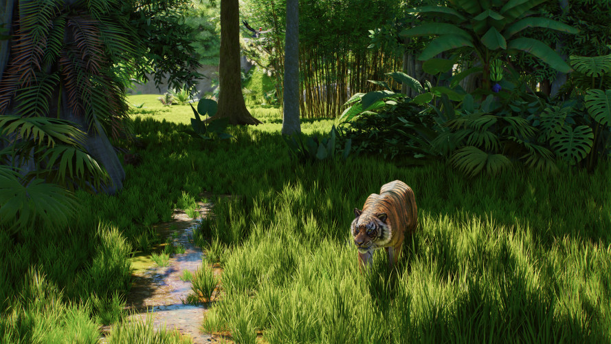Planet Zoo 2 - Deluxe Edition, Steam Gift