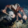 Игра Achilles: Legends Untold PC / ПК, активация в стим Steam для региона РФ / Россия цифровой ключ