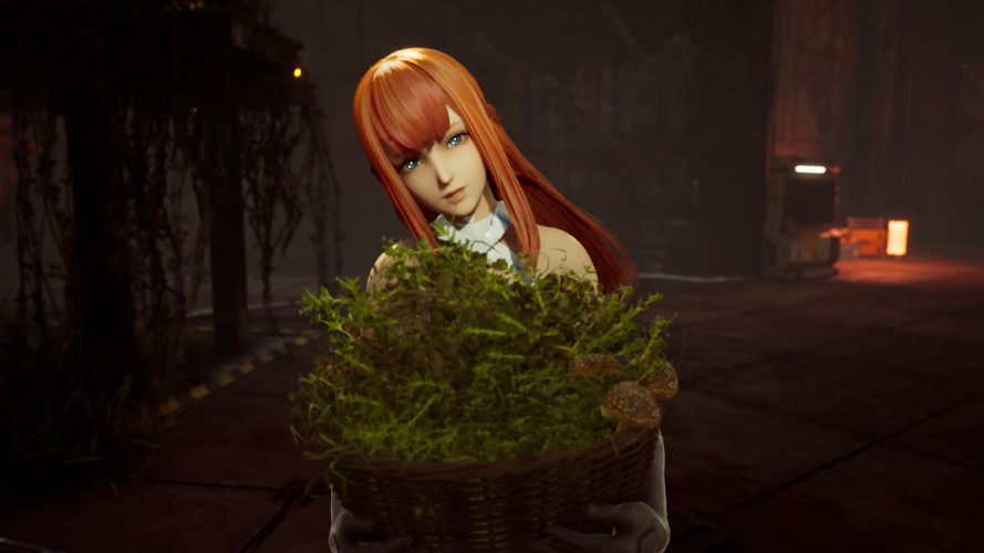 SYNDUALITY Echo of Ada - Deluxe Edition, Steam Gift