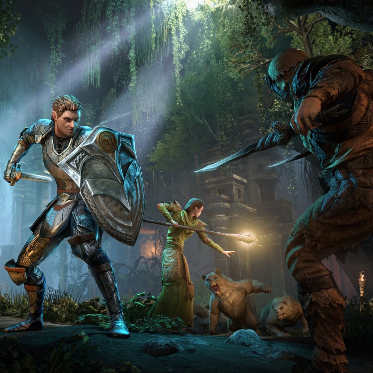Игра The Elder Scrolls Online PlayStation 4 и PlayStation 5