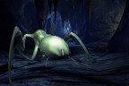 Half-Life 2 - The Orange Box, Steam Gift