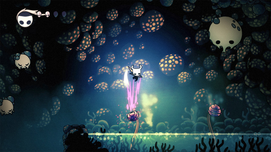 Hollow Knight, Steam Gift