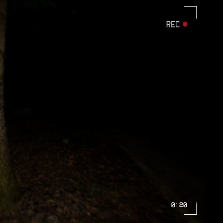 Игра INSIDE PlayStation 4 и PlayStation 5