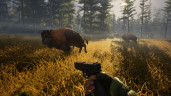 BIGFOOT, Steam Gift