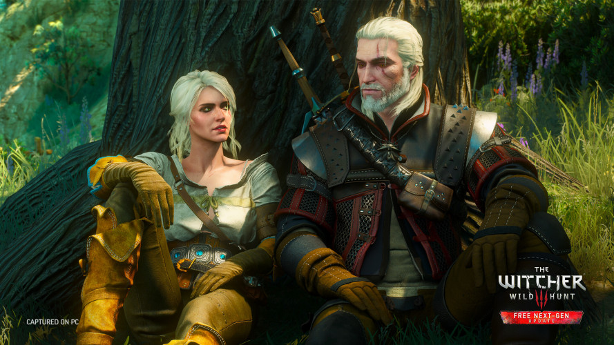 The Witcher 3: Wild Hunt, Steam Gift