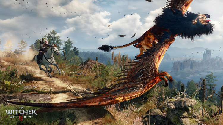The Witcher 3: Wild Hunt, Steam Gift