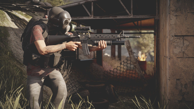 Insurgency: Sandstorm - 4 - Year Anniversary Edition, Steam Gift