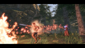 Elengard: Ascension, Steam Gift