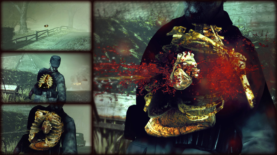 Zombie Army Trilogy, Steam Gift