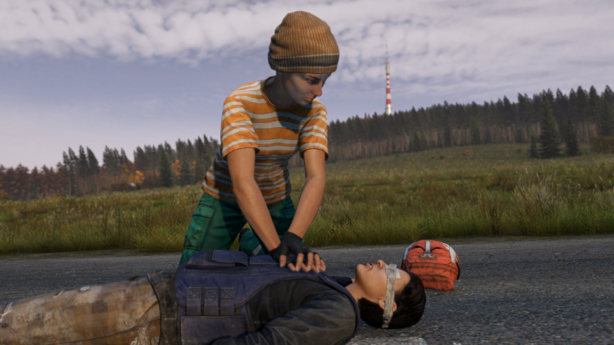 DayZ, Steam Gift