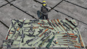 DayZ, Steam Gift