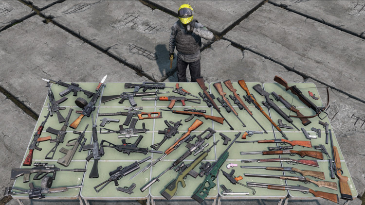 DayZ, Steam Gift