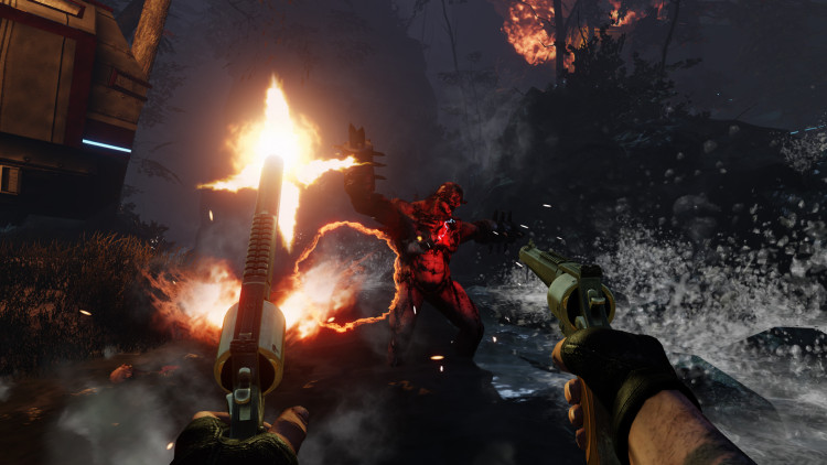 Killing Floor 2, Steam Gift