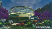 Honeycomb: The World Beyond, Steam Gift
